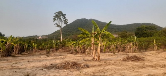 �ѵ�պ �� A House property