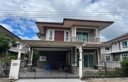 �ѹ��ᾧ �� northern1