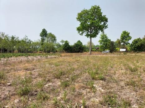 ที่ดิน รีสอร์ท กาฬสินธุ์