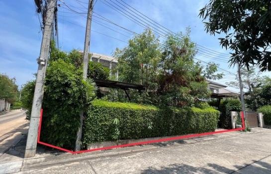 ���ͧ ��ط��Ҥ� �� compos2566