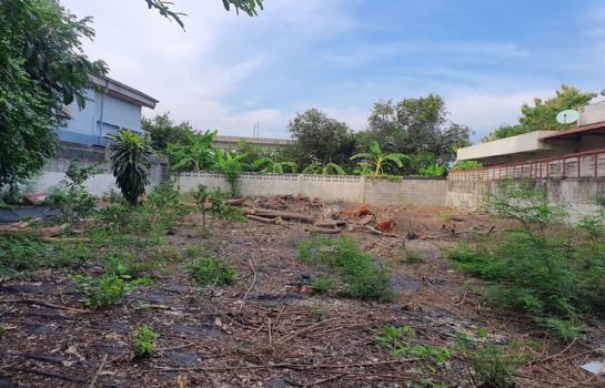 ขายที่ดิน Paradise ขายที่ดิน Paradise