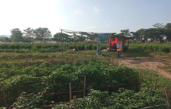 ��·��Թ ��ҹ 850,000 �ҷ