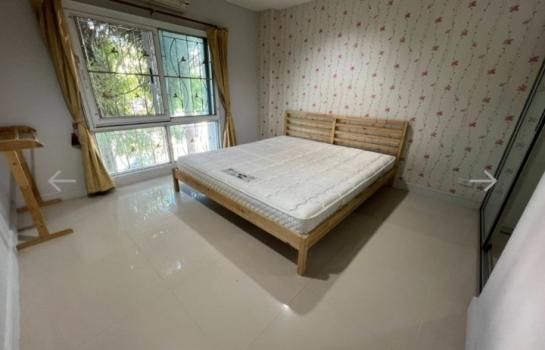 ��¤͹� ���١�һ����ҹ�