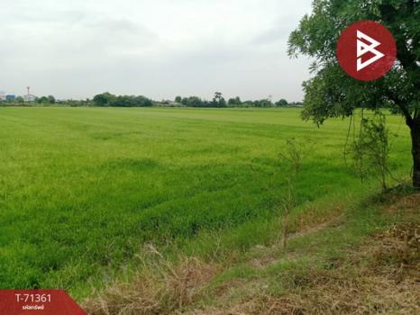 ��û�� �� The Best Property Agent