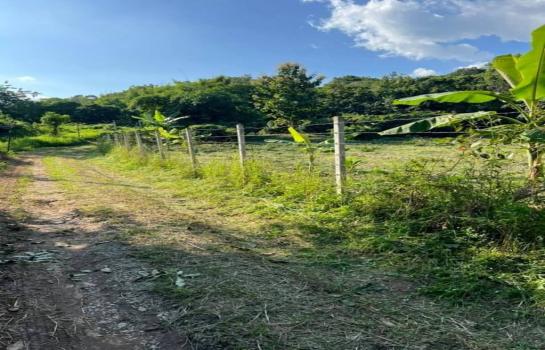 �ҧ�� �� onanong khumaphao