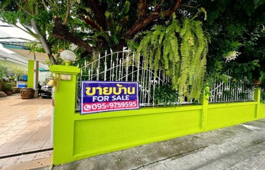 �ź��� �� sopa