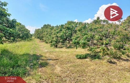 ��§���� �� The Best Property Agent