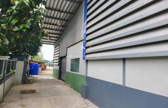 ��л��ᴧ �� Kong property