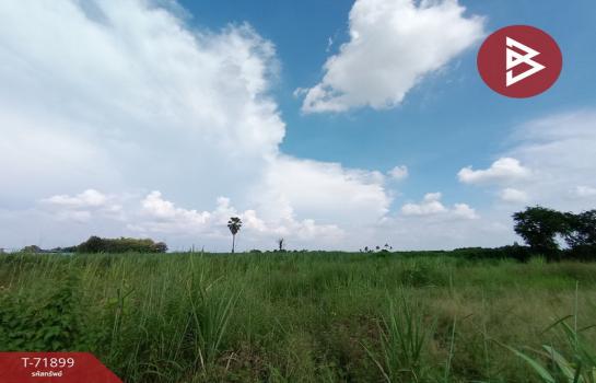 �����ǧ �� The Best Property Agent