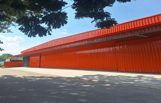 �س ��ѳ��