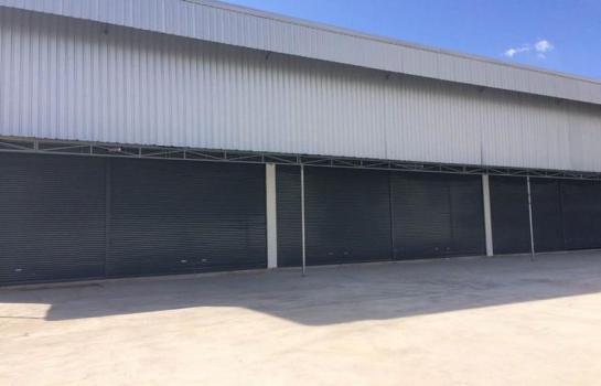 ������������ԭ �� PL BUA