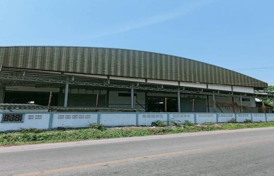 �����ҹ� �� 1000property