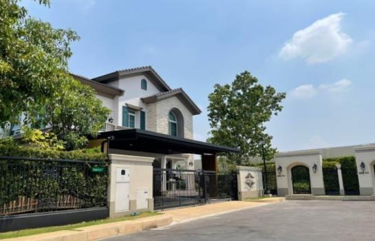 ��ºҧࢹ �� Patkorn