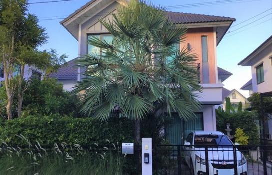 �ҧ��Ҹ� �� panaya.opalopal