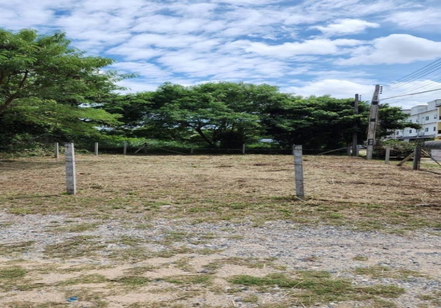 ���Թ����繷��� �ź���