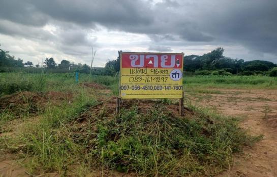 ������ �� zionasset1