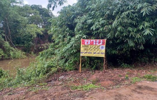 �ѧ�ͧ �� zionasset1