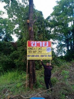 �Ѵ�ʶ� �� zionasset1