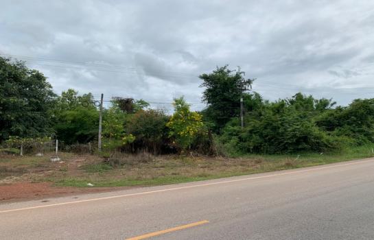 �ҡ �� zionasset1