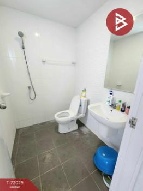 ��ǹ������� 19 ���ҧ�����ͧ��طû�ҡ�� ��طû�ҡ��