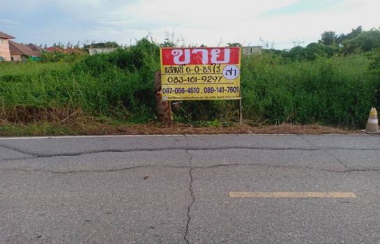 ��ɳ��š �� zionasset1