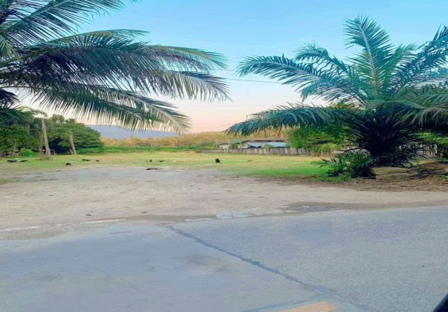 ���ͧ �� A House property