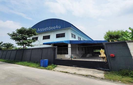 �����ҹ �� AssetD4U