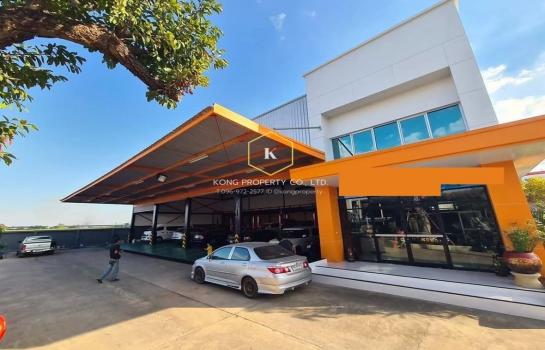 �ѭ���� �� Kong property