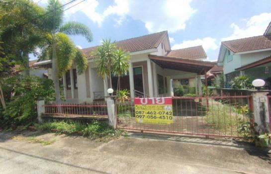 ������ �� zionasset1