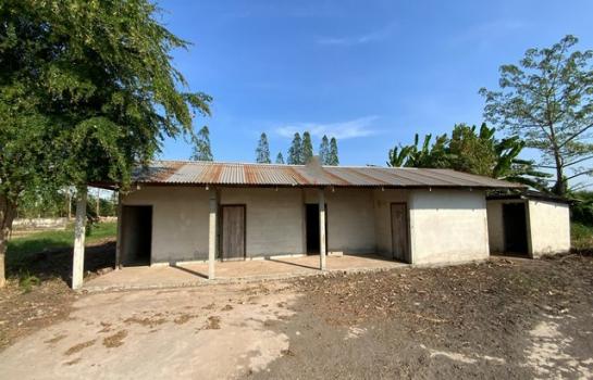 ���ž���� �� panaya.opalopal