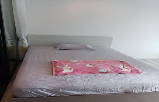 �͹����ͧ �� easythaihome