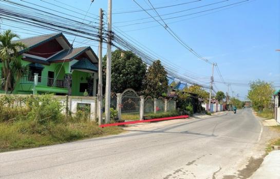 ��ҹ�������� ž����