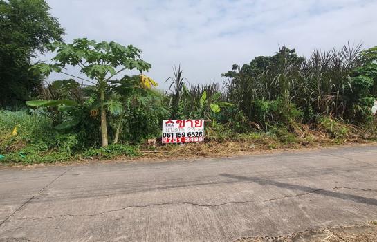 ���Թ BTS �ҧࢹ