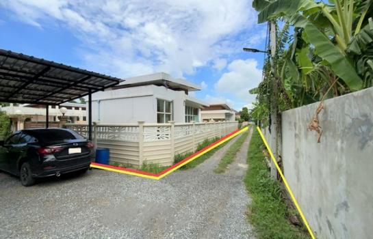 ž���� �� panaya.opalopal