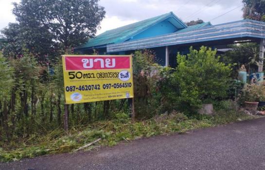 �ҧ�˭� �� zionasset1