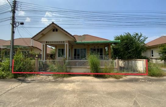 ���ž���� �� panaya.opalopal