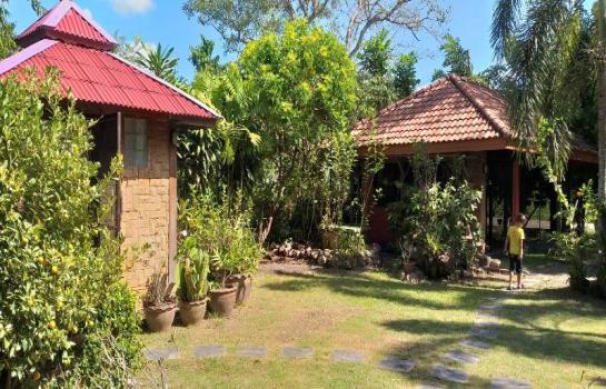 �ҧ�� �� �Ң�ѭ �Ź�����