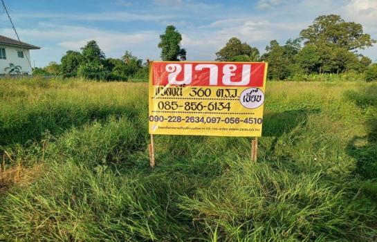 ��ɳ��š �� zionasset1