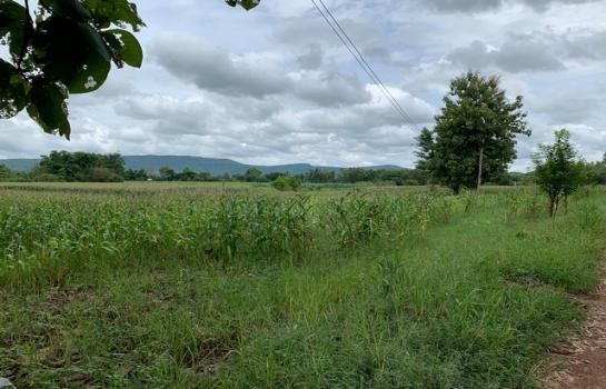 �ҡ �� zionasset1