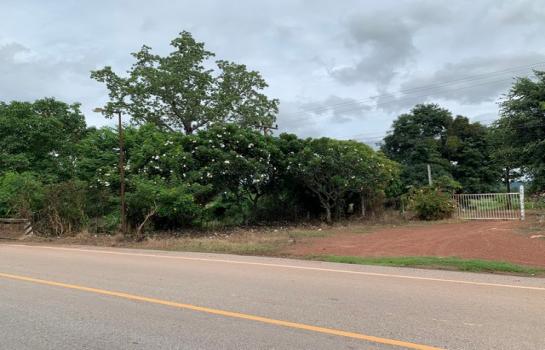 �ҡ �� zionasset1