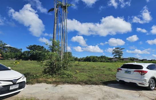 ���Թ������ ���ͧ��������