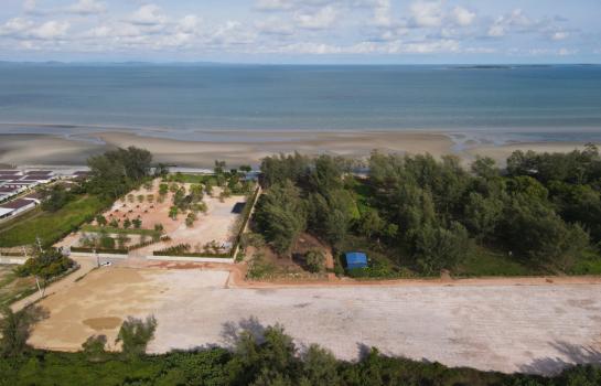 ���Թ 4 ���