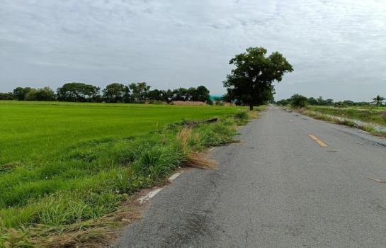 ที่ดิน ติดถนนคอนกรีต 3708 ตารางวา ที่ดิน ติดถนนคอนกรีต 3708 ตารางวา