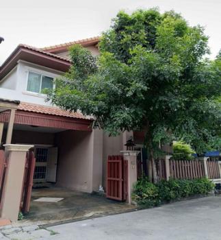 ������� �� Nuttapong