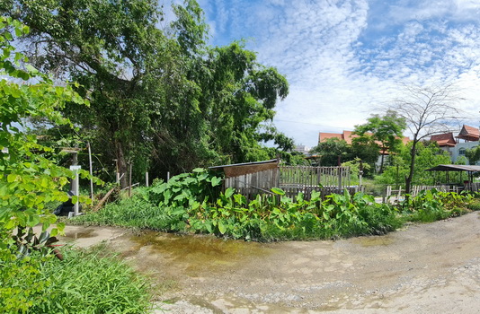 ���Թ BTS �ҧࢹ