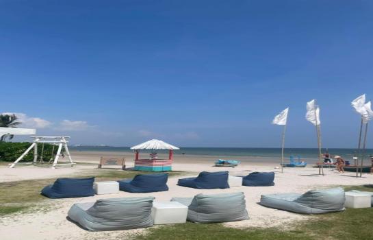 �͹� 37 ���ҧ�� ���������