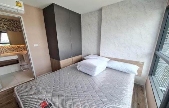 ��ا෾ �� SW ESTATE_Rental