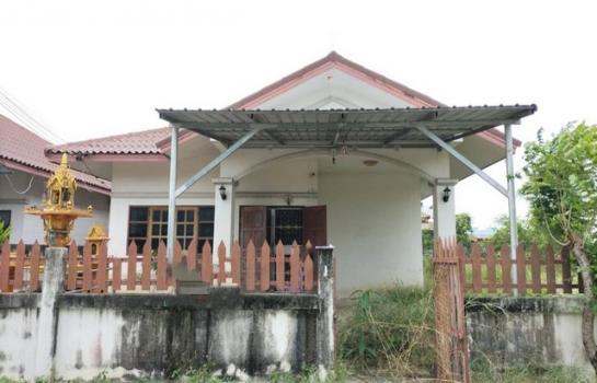 �Ѳ�ҹԤ� �� compos2566