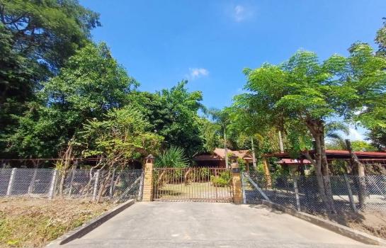 ��ҹ�ҧ�� �� Parkwan