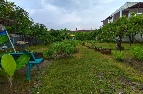 ��� ���Թ ��بѡ�